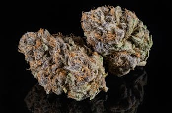 Sour Punch