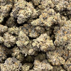 LPM x Jealousy GH (Hotbox Farms)