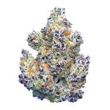 Flower - Cheetah Piss (H)