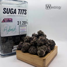 Suga TIts (H)