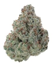 L Donny Burger | Flower Case | Pre-Packed 4g (Flowers/Buds - Packaged)
