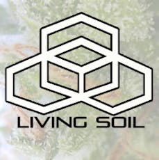 Bern Legacy - GSC - Pre-Roll - 1g