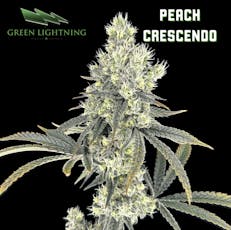 (GL) | Peach Crescendo | 3.5g