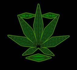 Medicine Man - The Power - Flower - 1/8oz