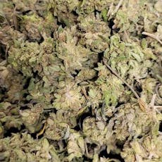 B Bud Amnesia Haze (Milmar)