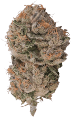 Purple Octane x Jealousy | 3.5g