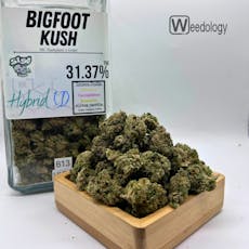 Bigfoot Kush (I-H)