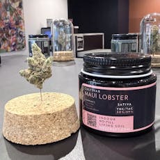 Maui Lobster 1/8