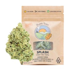 Burr's Place | Splash (H) | 3.5g Sungrown Flower