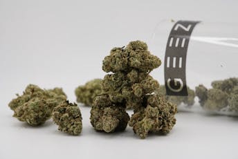 Geezz | Superman OG (1g) | Indica | THC 22.99%