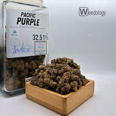 Pacific Purple (I)