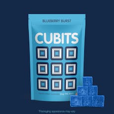 Blueberry Burst Gummies (20ct)