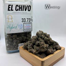 El Chivo (I-H)