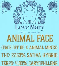 Animal Face (Love Mary)