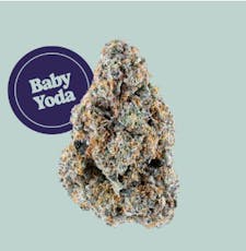 Baby Yoda I 7g I Kind Tree