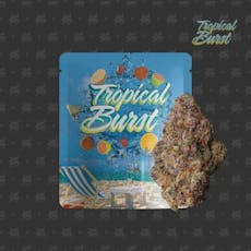 Seed Junky | Tropical Burst (S) | 7g Flower