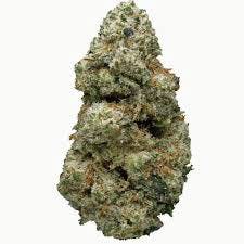 Flower - Alaskan Thunder Fuck (S)