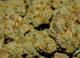 Jet Fuel (S-Silver)