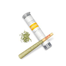 Pave' - 1g Preroll