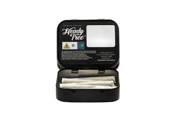 Heady Tree | Preroll | 7pk | 3.5g | Hash Infused Shorty’s Blue Nerdz