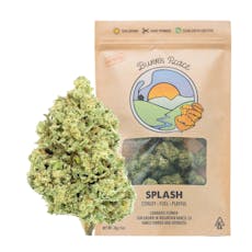 Burr's Place |Splash (H) | 28g Sungrown Flower
