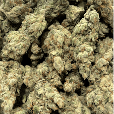 Sour Tangie Deli Flower