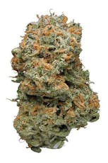 Blue Dream (Indoor)