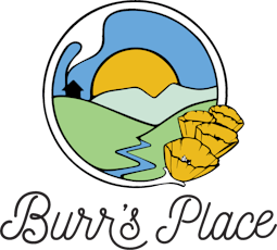 Burr's Place | Sugar Kush (H) | 7g Sungrown flower