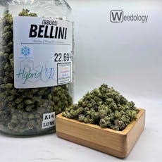 Bellini (I-H) (BBuds)
