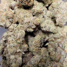 Sherb Cocktail (Focus North)