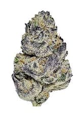 Flower - Runtz Buttonz (H)