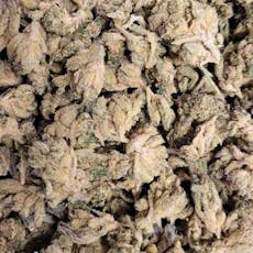 B Bud MochiDosi GH (Hotbox Farms)