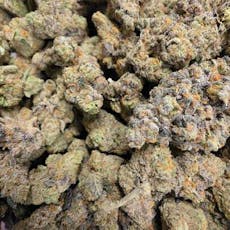 Blue Cookies x Project 4516 (Hotbox Farms)