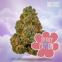 District Cannabis Berry Payton 14g
