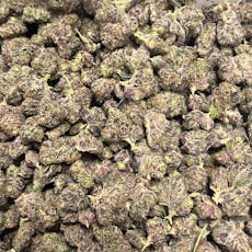 B Bud Ice Cream Cake (Hotbox Farms)