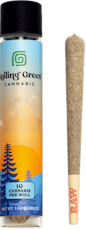 Rolling Green | Preroll | 1g | Tangerine Dream