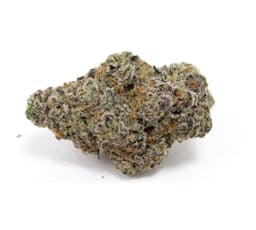 3.5g Jar Glitter Bomb