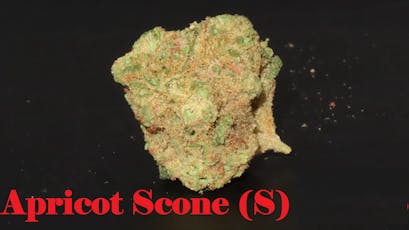 Phoenix Farms (S) Apricot Scone