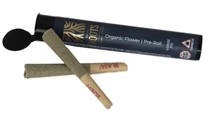 Local Roots | Bubba Cheese .5g 2pk