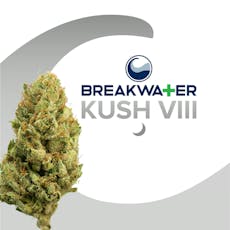 Kush VIII I 3.5g I Breakwater
