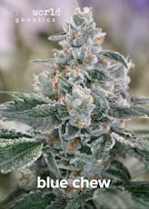 Blue Chew FreeWorld Genetics Clone Indica Hybrid