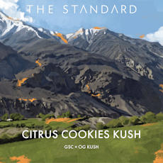 The Standard - Citrus Cookies Kush - 3.5g PrePack Flower