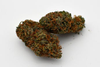 Peyote Cookies Flower