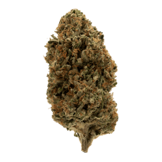 Rolling Green | Flower | 28g | Purple Punch