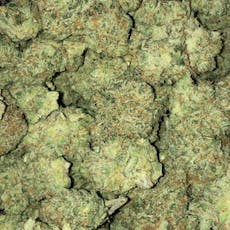 Cap'n Jack (Otis Gardens)