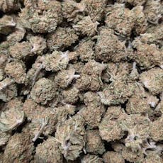 B Bud Purple Punch (45th Parallel)