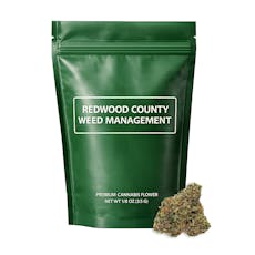 Gastro Pop | 3.5g Flower | Indica