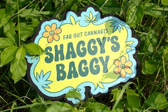 Shaggy's Baggy Logo Mood Mat