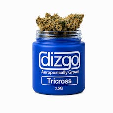 Dizgo Collective | TriCross | 3.5g