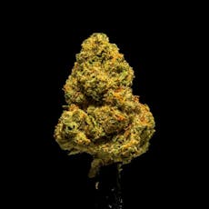 Rocky Mountain Blueberry